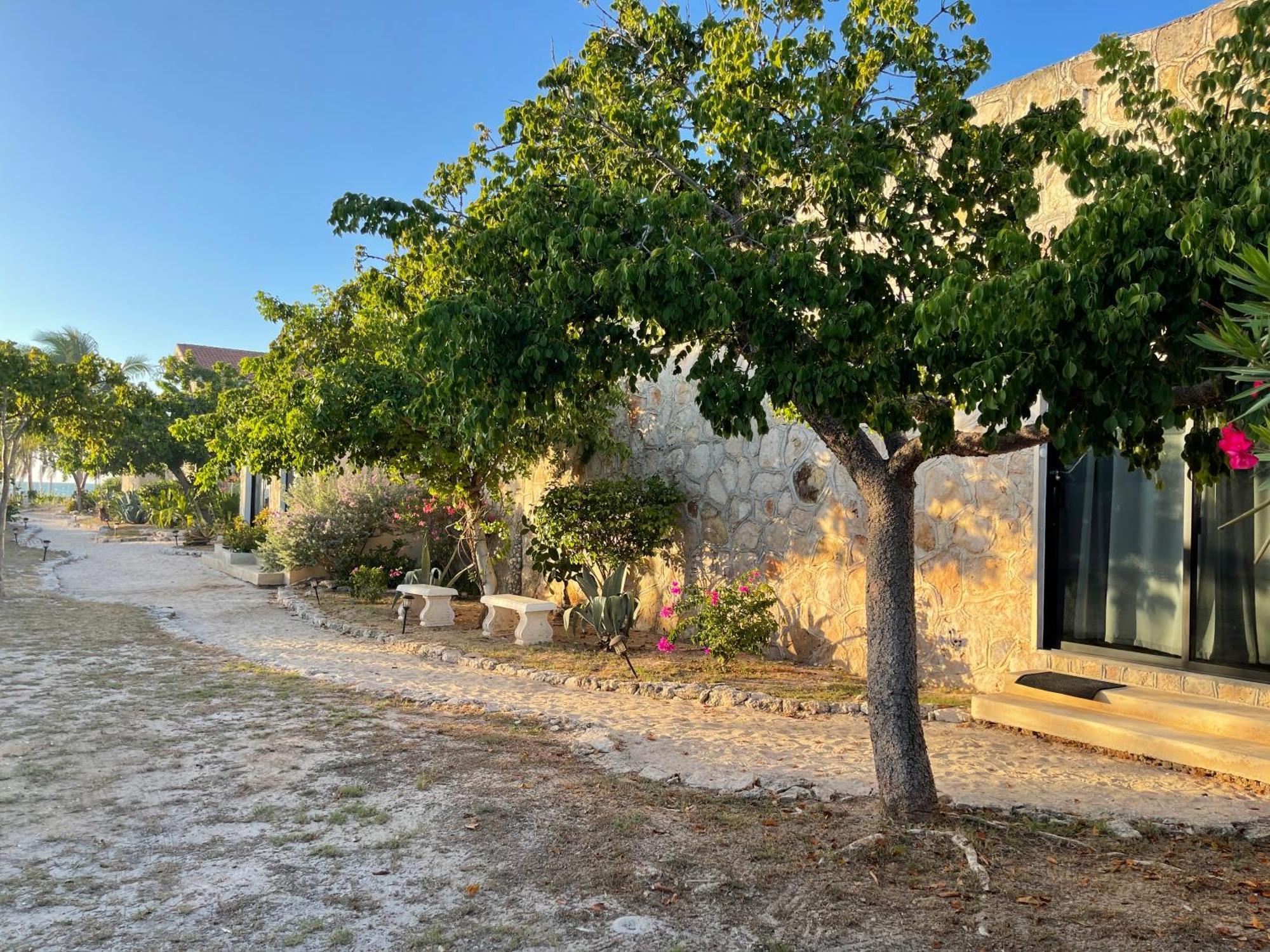 סלסטון Bremar 85 Private Place - Adults Only מראה חיצוני תמונה